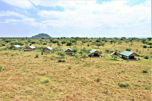 Hotel Africa Safari Serengeti Ikoma cazare Mugumu
