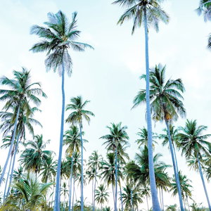 Hotel Kanga Beach Paradise cazare Kilindoni