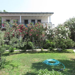 Hotel Arriba Apart Bungalow Restaurant cazare Turgutreis