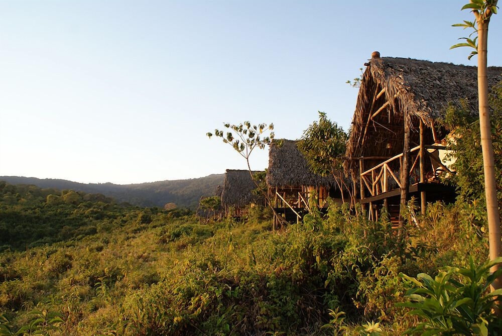 Hotel Crater Forest Tented Camp