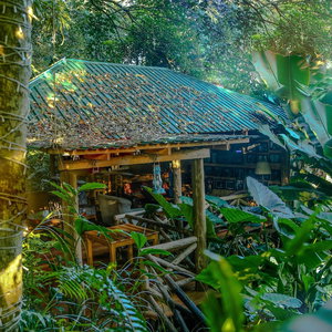 Hotel Malkia Trees Lodge cazare Arusha
