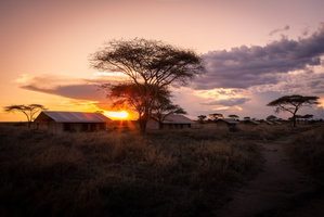 Hotel Mawe Luxury Tented Camp cazare Mugumu