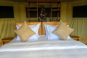 Hotel Sidai Serengeti Camp cazare Mugumu