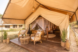 Hotel Africa Safari Serengeti Ndutu cazare Mugumu