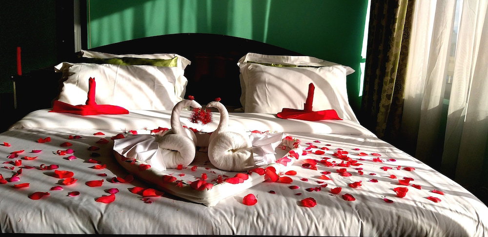 Alexander Hotel & Tours