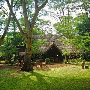 Hotel Migunga Tented Camp cazare Mto wa Mbu