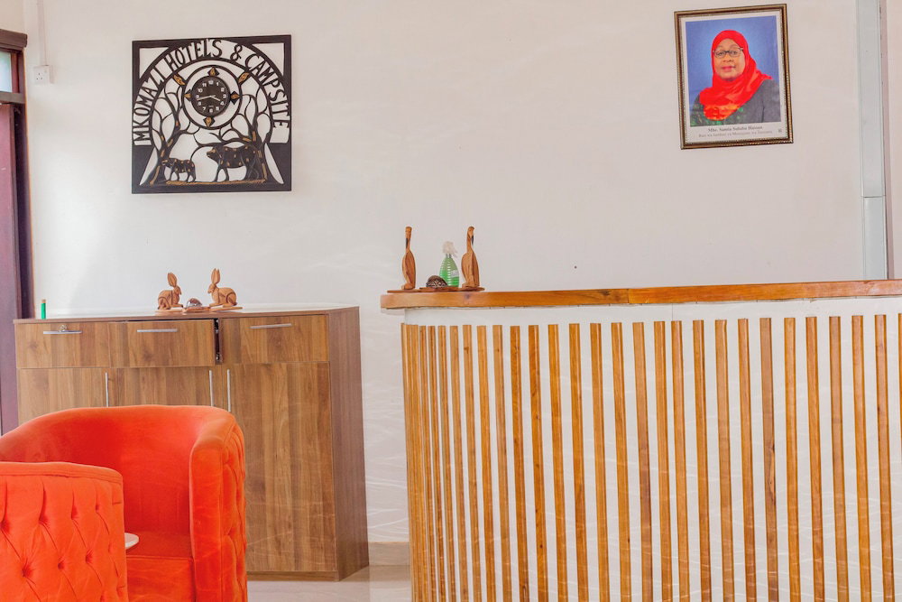 Mkomazi Hotels And Campsite
