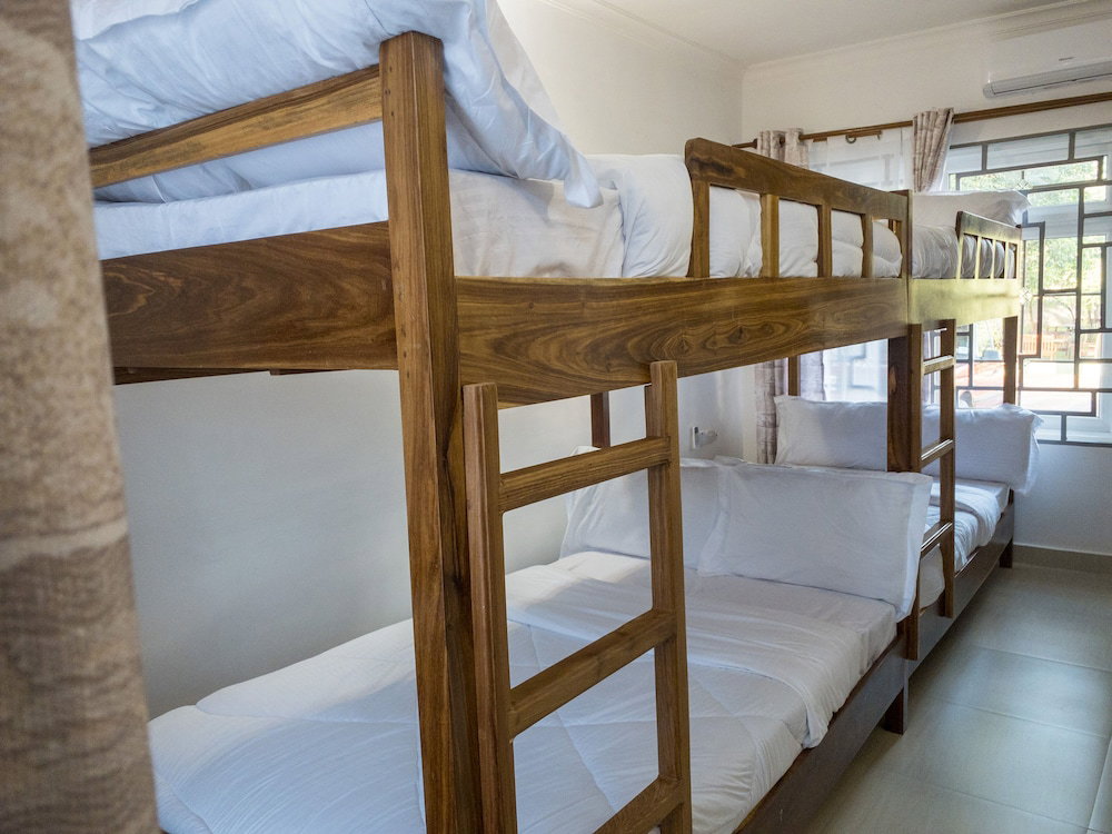 Mkomazi Hotels And Campsite