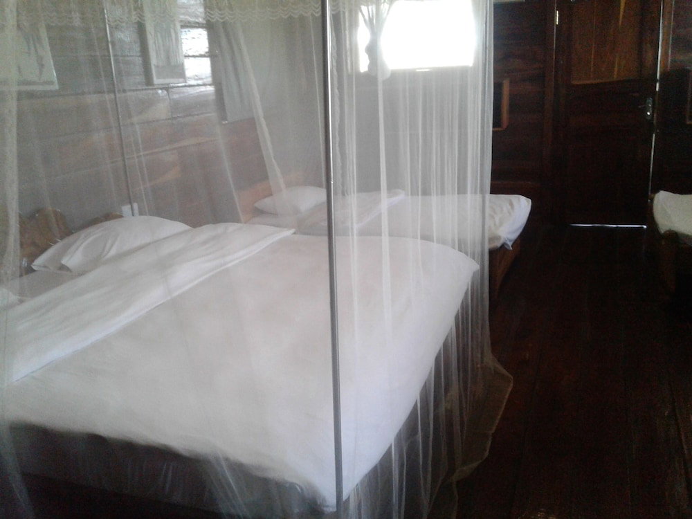 Ikoma Safari Camp