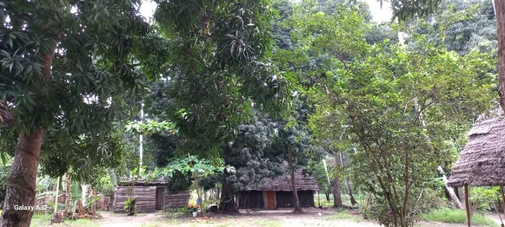Hotel Kv Jungle Bungalows