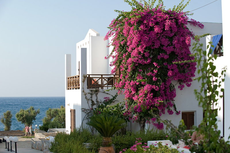 dal travel Maritimo Beach Hotel