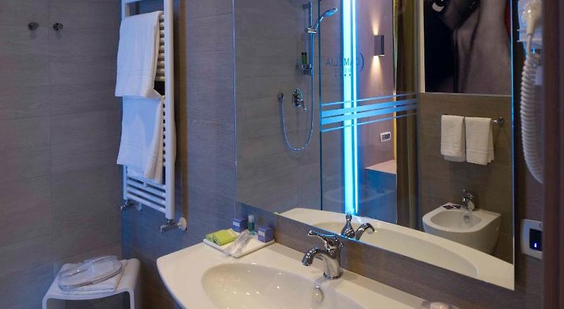 Hotel Hotel Motel Camelia