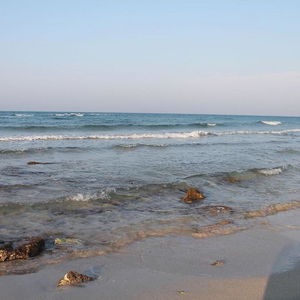 Hotel Victoria cazare Carovigno