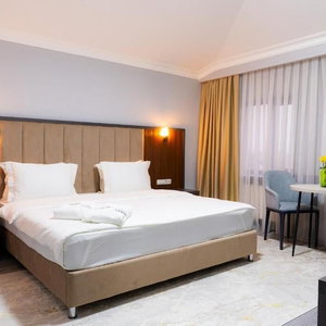 Hotel Rauza Hotel Tashkent cazare Salor