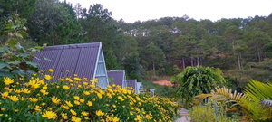 Hotel Tuyet Hoa Hon Bo Bungalow cazare Da Lat
