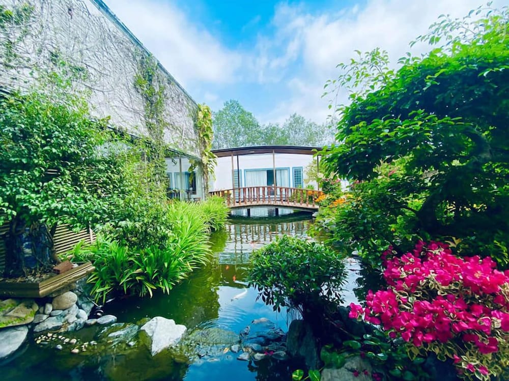 Hotel Forever Green Resort