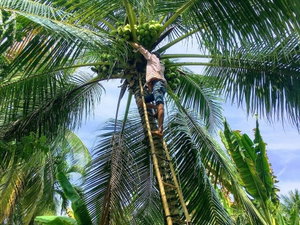Hotel Coco Happy Farm cazare Ben Tre