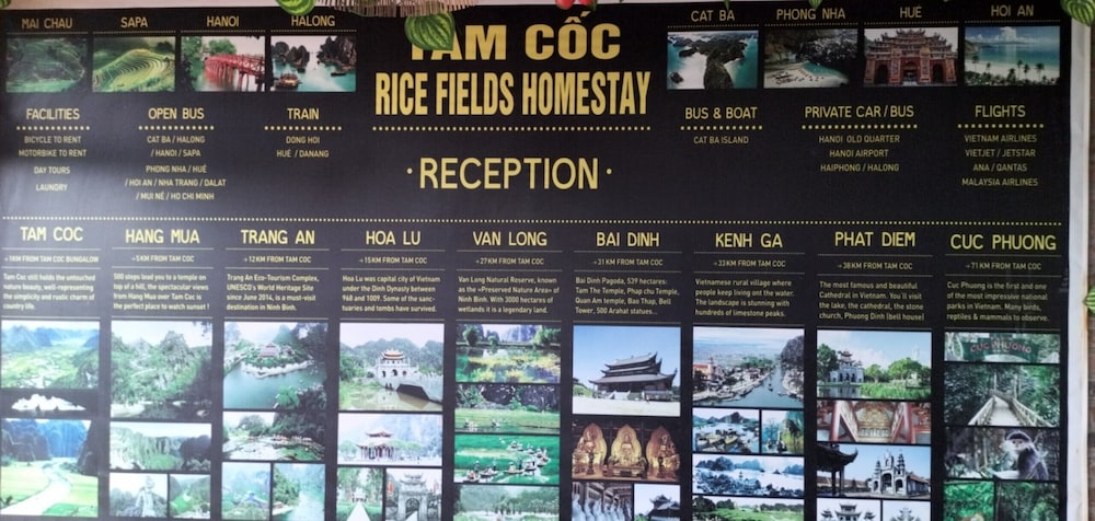 Tam Coc Rice Fields Homestay