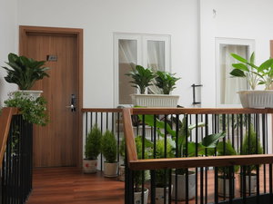 Hotel Feliz Dalat Homestay cazare Da Lat