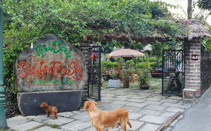 Hotel Ninh Binh Bamboo cazare Me