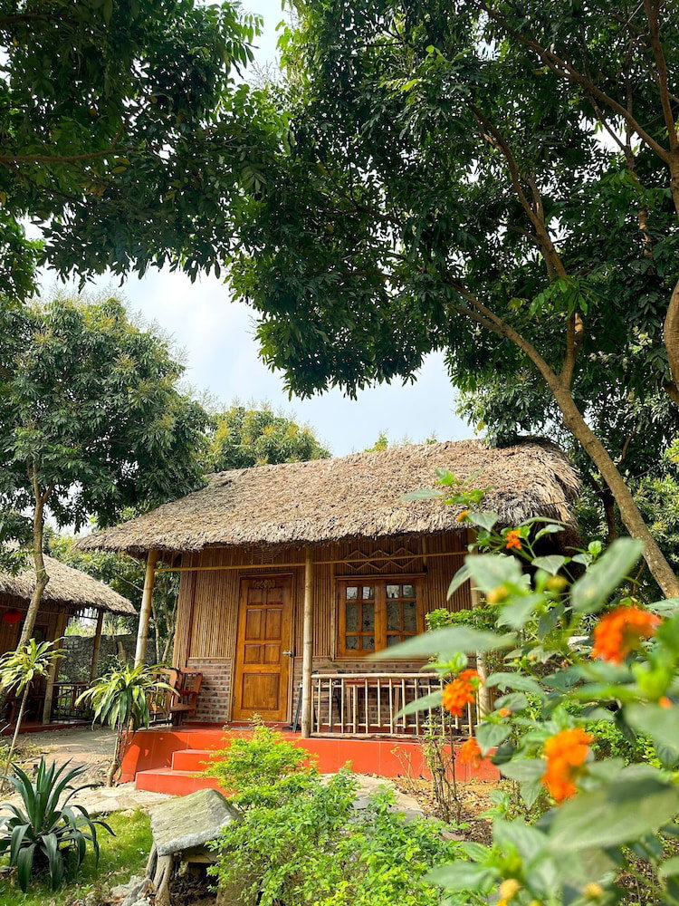 Ninh Binh Bamboo