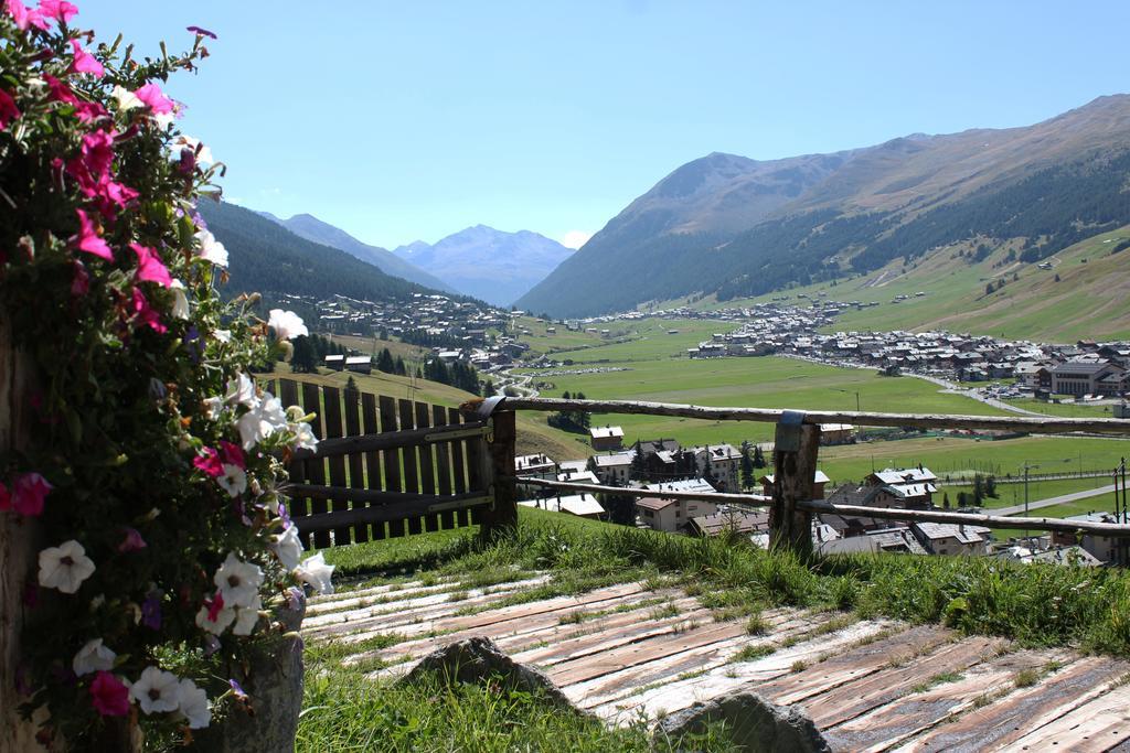 Chalet Charm
