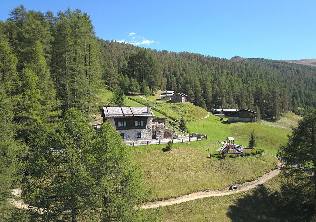 Chalet Charm
