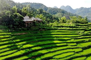 Hotel Pu Luong Boutique Garden cazare Quan Hoa