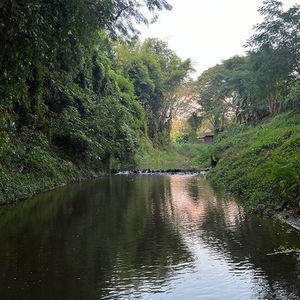 Hotel Papai Country Lodge cazare Chiang Mai