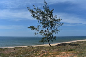 Hotel Son Tra Guest House cazare Phan Thiet