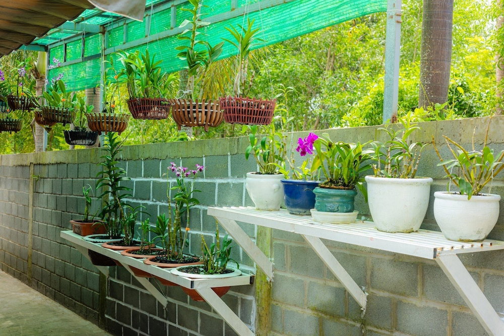 Hotel Bungalow Tài Phát