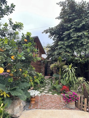 Hotel Wood Haven Homestay cazare Ninh Binh
