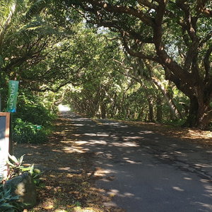 Hotel Kalani Oceanside Retreat cazare Pahoa