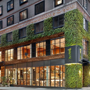 Hotel 1 Hotel Central Park cazare Manhattan