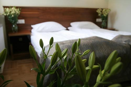 Hotel Villa Julia