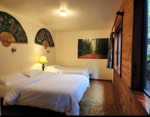 Hotel The Pacifica Inn cazare Volcano