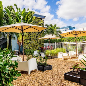 Sejur Up Midtown vacanta Edgewater