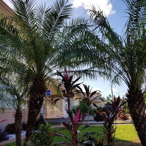 Hotel Parkway Inn Airport Motel Miami cazare Miami Springs