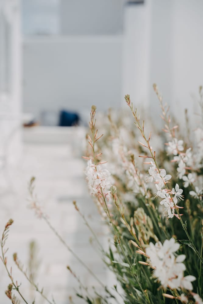 Hotel Aether Boutique Stay