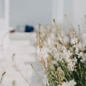 Hotel Aether Boutique Stay cazare Mykonos