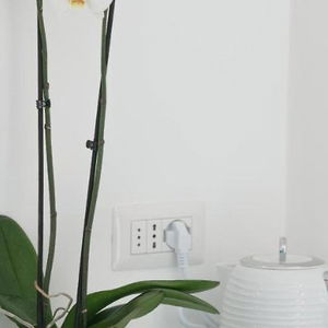 Sejur Aldarogi vacanta Capri