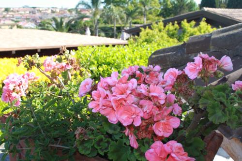 Hotel Villa Francesca