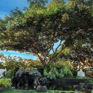 Hotel Wailea Beach Resort - Marriott, Maui cazare Wailea