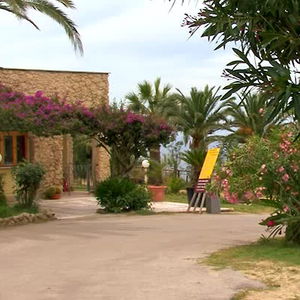 Hotel Villaggio Marco Polo cazare Ricadi