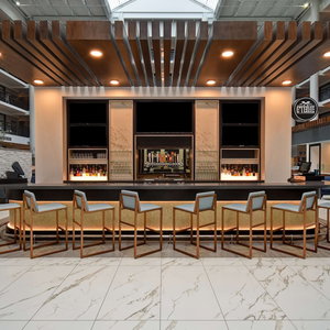 Hotel Embassy Suites Syracuse cazare East Syracuse