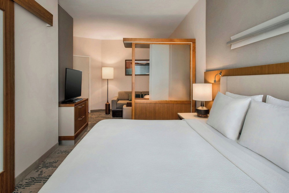 Hotel Springhill Suites Buffalo Airport