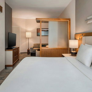Hotel Springhill Suites Buffalo Airport cazare Buffalo
