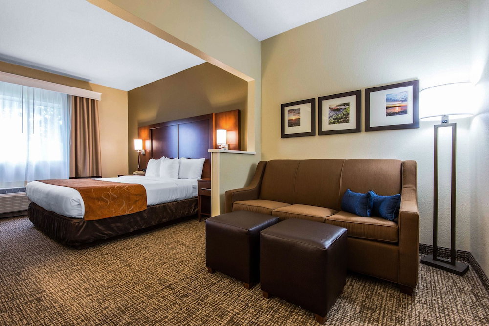 Comfort Suites Rochester Henrietta University Area