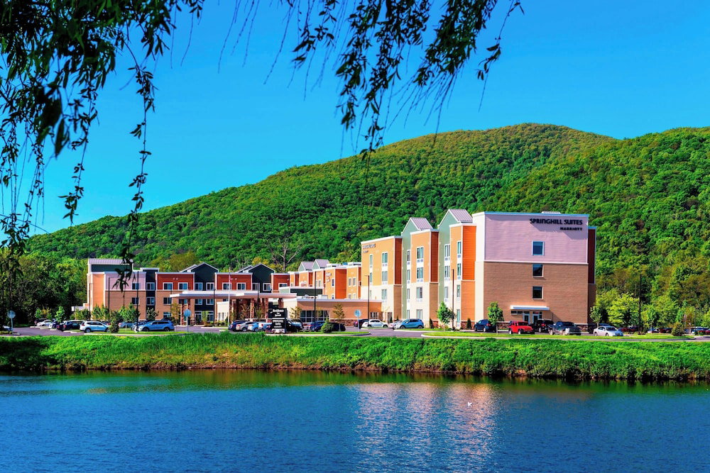 Hotel Springhill Suites By Marriott Fishkill