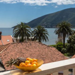 Hotel Apart Hotel Grifone cazare Herceg Novi